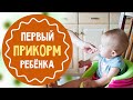 Первый прикорм ребёнка