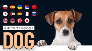 Dog in different languages meme