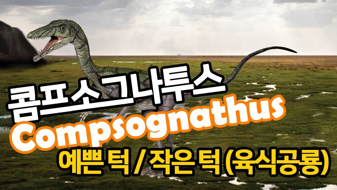 Compsognathus 콤프소그나투스
