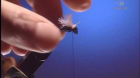 How To Tie Crazy Good Terrestrial Flies - Fly Tying Tutorial - Black Ant