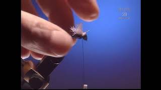 How To Tie Crazy Good Terrestrial Flies - Fly Tying Tutorial - Black Ant