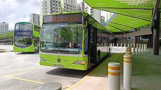 (TTS) SBS6362S On Service 831W Arriving Tengah Interchange Boarding