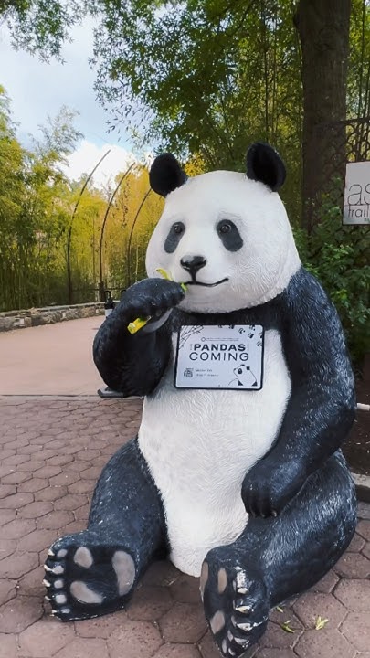 The Pandas Are Coming Smithsonian’s National Zoo Washington DC #travel