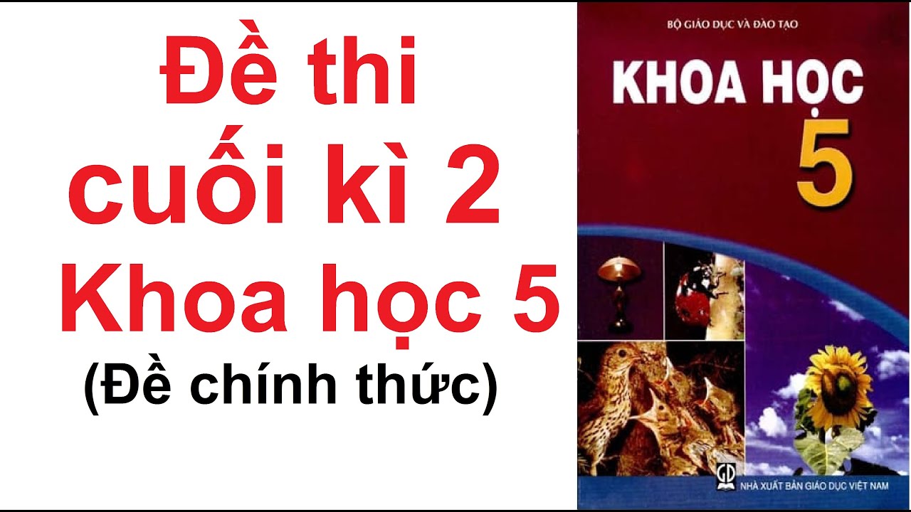 Đề thi khoa học lớp 5 | Đề thi cuối học Kì 2 môn Khoa học lớp 5 năm 2021