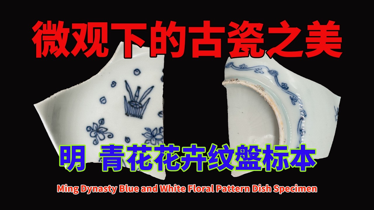 明代青花花卉紋盤標本| Ming Blue and White Floral Pattern Dish