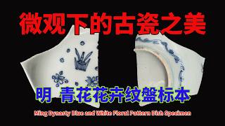 明代青花花卉紋盤標本| Ming Blue and White Floral Pattern Dish