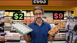 Are Expensive Eggs actually worth it