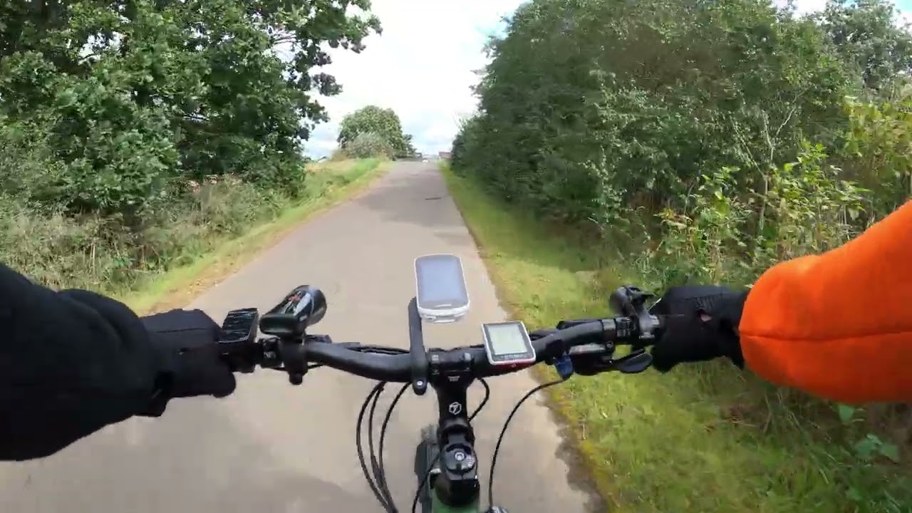 dunlop volume x pedal DVP4 (X) Mini DJI Goggles 3 Review: cool kids Wähle dein Motiv:Fuchs The robust construction makes