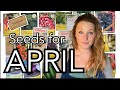 Seeds for April || What Vegetables, Flowers and Herbs to Sow in April