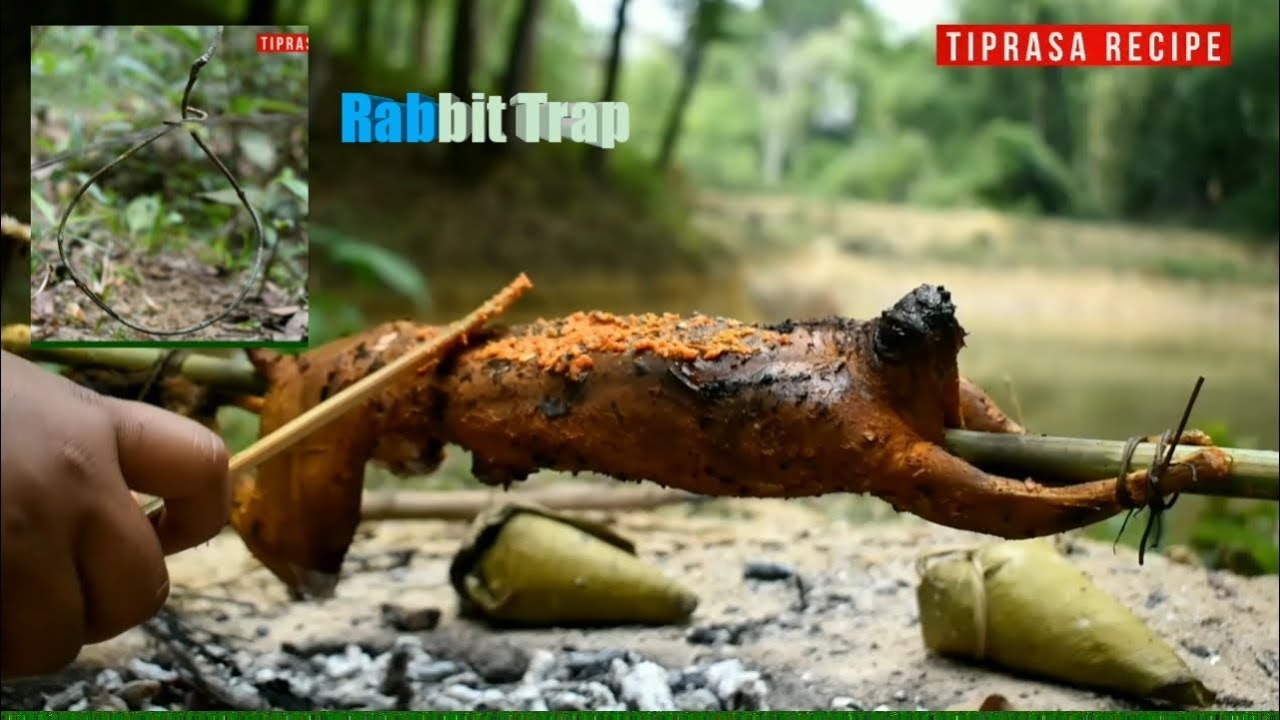 #Tiprasarecipe How to catch rabbit by trap in the forest and cook 🐇 ...
