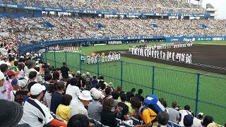 Expansion in NPB KBO and CPBL