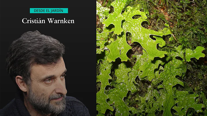 Desde el Jardn | Reinaldo Vargas sobre los lquenes