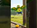 Parrot, train and a magic mango 🍋✨ #shorts #story #parrot