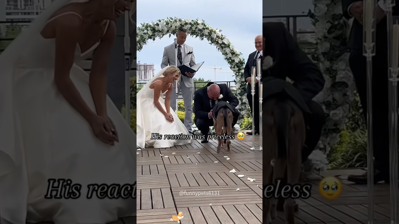 Special guests at the wedding 