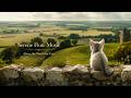 Above the World for Cats | Under a Soft Grey Sky • Serene Flute Music