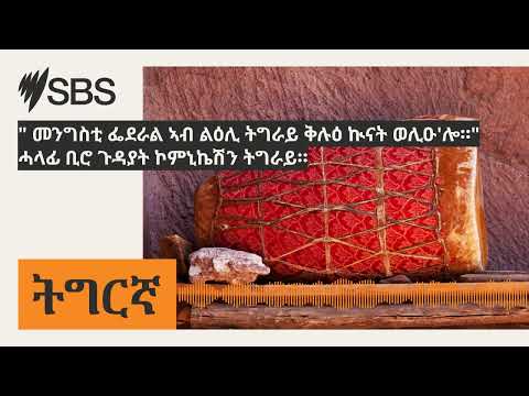 " መንግስቲ ፌደራል ኣብ ልዕሊ ትግራይ ቅሉዕ ኲናት ወሊዑ'ሎ።" ሓላፊ ቢሮ ጉዳያት ኮምኒኬሽን ትግራይ። | SBS Tigrinya - ኤስ.ቢ.ኤስ ትግርኛ