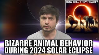 I Was Shocked To Learn How Animals React to Solar Eclipses