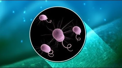 Superbug, meet superdrug: breakthrough research in fight against antibiotic-resistant superbugs