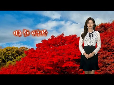[날씨] 전국 오색빛 단풍 물결…중부 곳곳 요란한 비 / 연합뉴스TV (YonhapnewsTV)