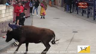 SANTA CRUZ DE MONCAYO  (ZGZ)  TARDE VACAS EN LA CALLE  (VIERNES 3 MAYO 2019)  MERINO by VillarTauro 15,044 views 4 years ago 30 minutes