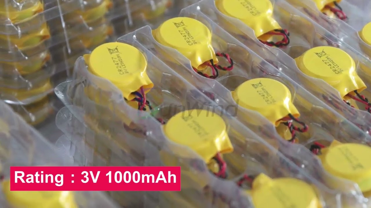 CR2477 3V 1000mAh Button Cell Coin Battery With Wire and Connector