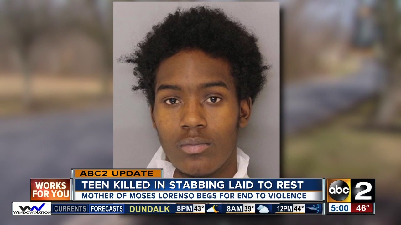 Teen killed in stabbing laid to rest