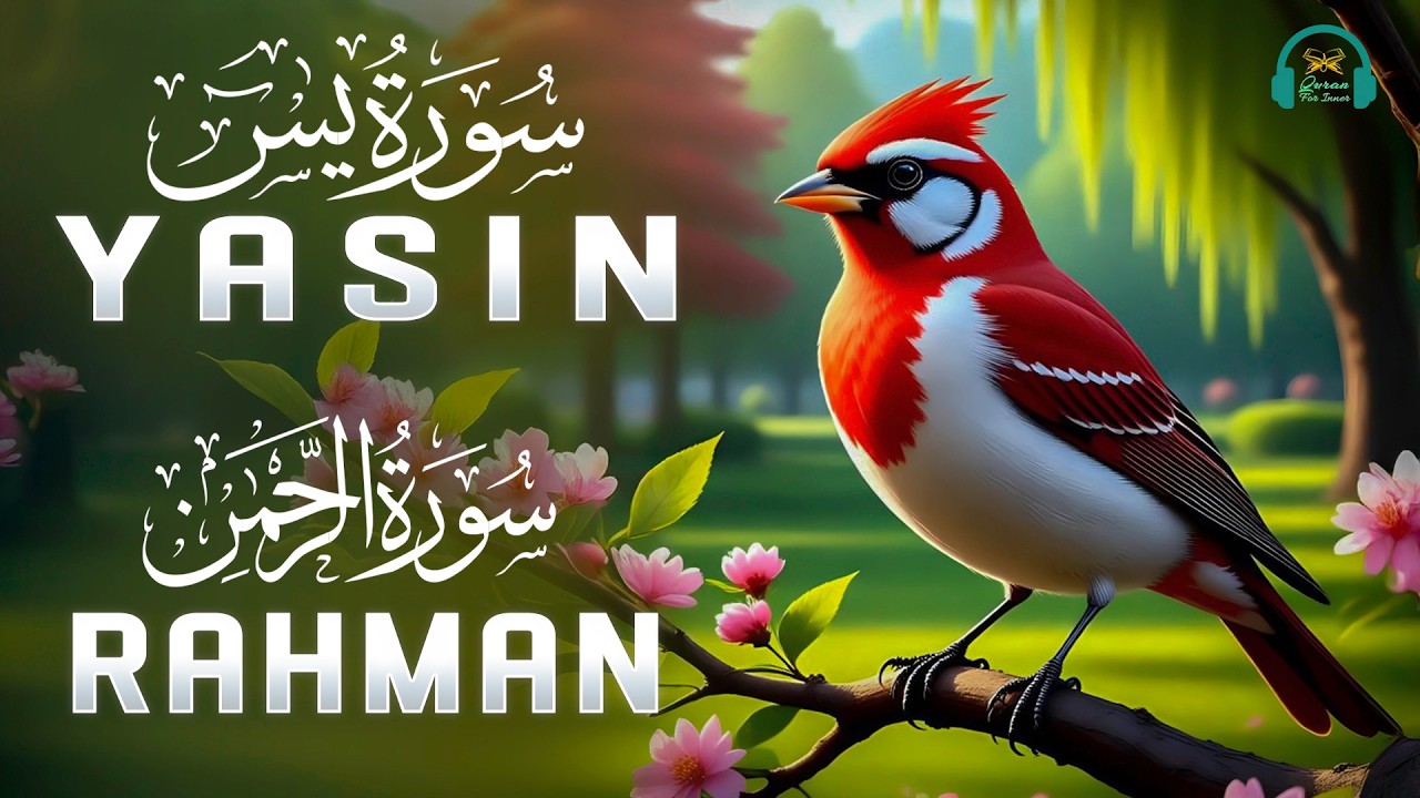 Beautiful Quran Recitation For Relax Your Mind | Surah Yaseen, Surah Rahman | Reciter Alaa Aqel