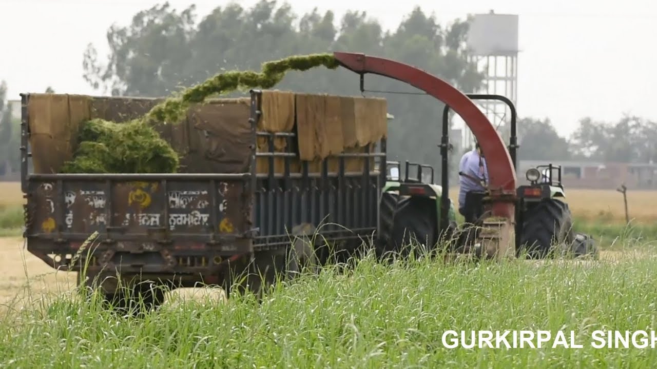 Most advanced dairy farm of Punjab with latest technology ( ਗੁਰੁਕਿਰਪਾ