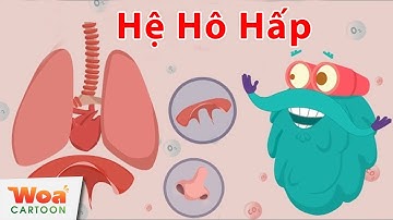 Khám Phá Hoạt Động Của Hệ Hô Hấp Người | Phim Hoạt Hình Mới 2020 | Hoạt Hình Khoa Học Hay Nhất