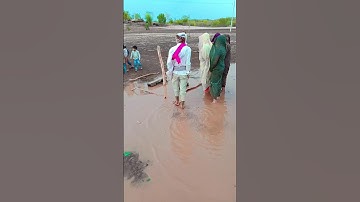 सादी देखने आंवली 💃 | Anil Piplaj New Timli Song 2025 | Adivasi Timli 2025 | Omega Studio Official