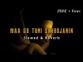 Maa Go Tumi Sarbojanin || Slowed and Reverb || Shreya Ghoshal