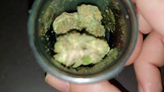 Consume in Carbondale 8 ball Kush and mag landrace ;)