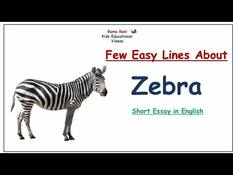 Totally free essaywriters Essay Writer