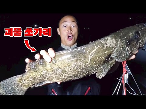 낚시 2주만에 접습니다. 민물 끝판왕 쏘가리!! 부르는게 값 가격은?!ㄷㄷ