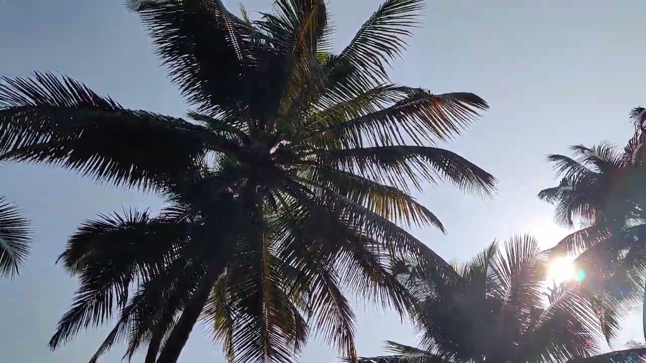 Hotel Sai Sagar Tondavali Malvan