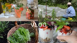 картинка: VLOG🩷  Июньский летний день🌿 Дача l Уход за растениями l Как можно вкусно поесть клубнику🍓