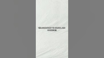 Newt & Y/N S.3 Part 46