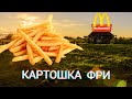 КАК ПРАВИЛЬНО ПРИГОТОВИТЬ КАРТОШКУ ФРИ В КАЗАНЕ + Очень вкусный соус