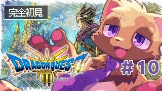 【ドラゴンクエスト3 #10】早急に世界を平和にしたい狸の積みゲー消化枠【ウィルたぬきの日常】