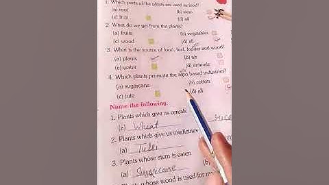 class-2,evs,ch-13,exercise