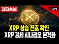XRP, 비트코인 10만 달러 랠리 전 흐름 완벽 재현