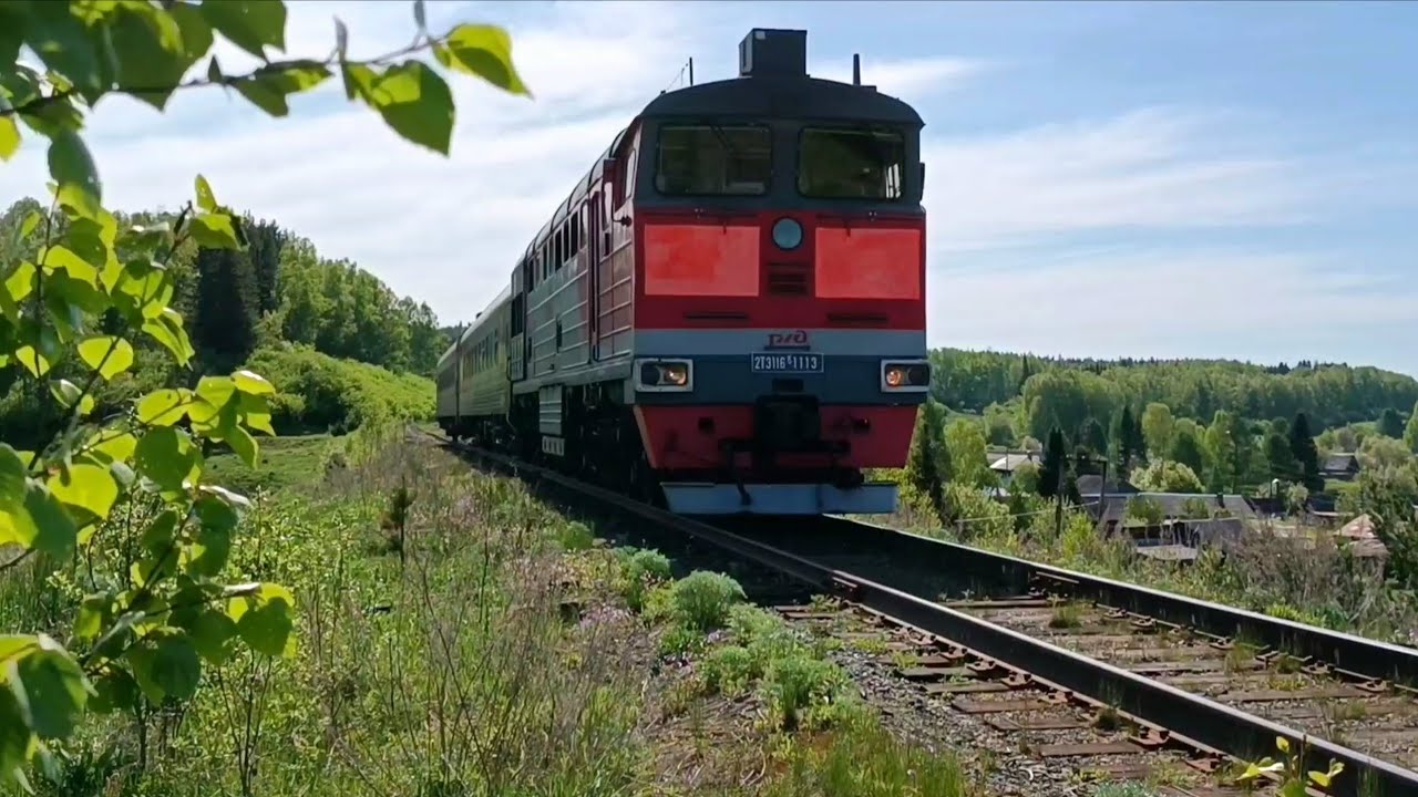 204 ый о.п. Волыны, СвЖД, 2ТЭ-116к с пригородным поездом 6394/6944 Кузино - Чусовская  /ЗУЖД/ •2025