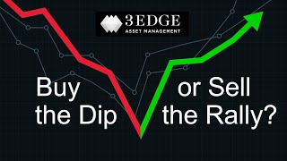 Buy the Dip or Sell the Rally?