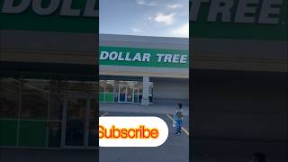 #dollartreestore#Shopping#canadalife#affordable#reels#kite#exploring##reelscanada#shortsincanada