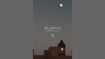 { قَالَ لَا تَخَافَآ ۖ إِنَّنِى مَعَكُمَآ أَسْمَعُ وَأَرَىٰ } سورة طه القارئ : شريف مصطفى 🌿🍃