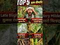 ये 5 बीमारियां आपकी फसल को अंदर से खत्म कर देती हैं 😨 समय रहते पहचानें और बचाव करें!”