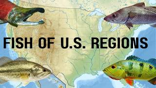 The Most Renowned/Favorite Fish of Each U.S. Region