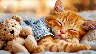 Calming Cat Music for Deep Sleep: Relaxing Melodies to Soothe Your Anxious Feline Friend #2 screenshot 3