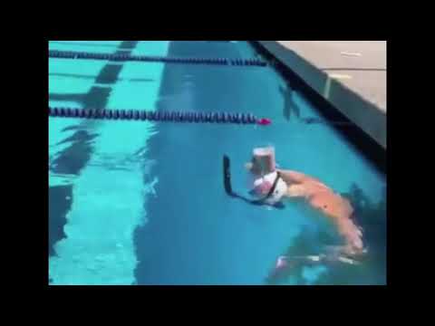 Olympic Gold Medalist Katie Ledecky Swimming with Cup of Chocolate Milk on her Head