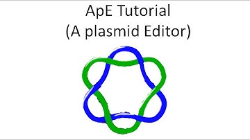 ApE Tutorial Part 4: Primers, Sequence Alignment and Complementary Strand Sequence